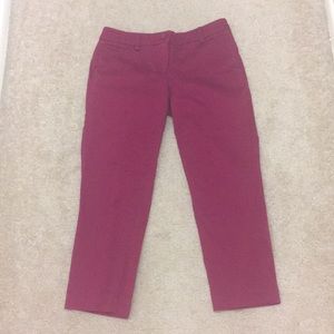 New York & Company Fuchsia crop size 0